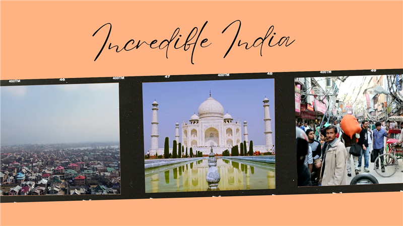 Top 20 Golden Triangle Tour Packages for Family